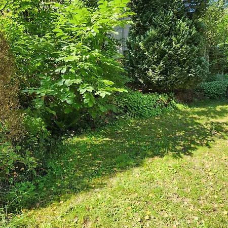 Apartmán Mit Terasse Und Garten Im Ulmtal